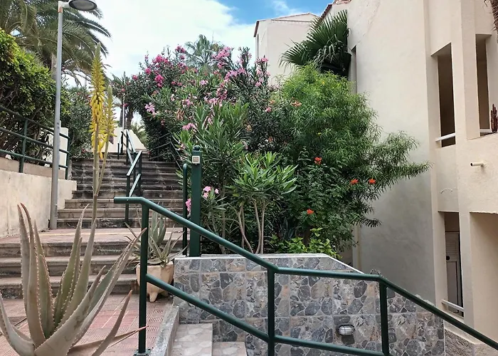 Great Oportunity Costa Adeje Holiday Apartment First Sea Line Free Wifi